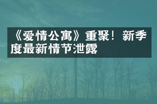 《爱情公寓》重聚！新季度最新情节泄露