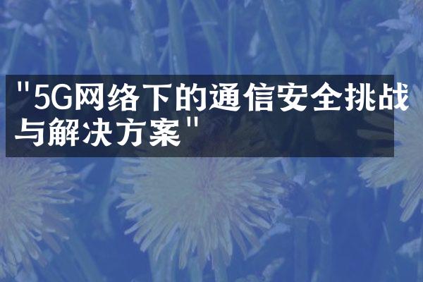 "5G网络下的通信安全挑战与解决方案"