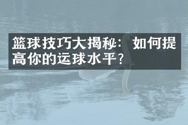 篮球技巧大揭秘：如何提高你的运球水平？