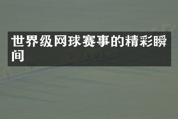 世界级网球赛事的精彩瞬间