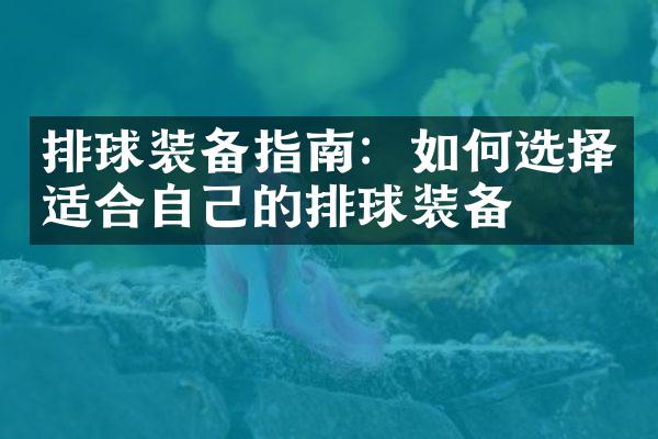 排球装备指南：如何选择适合自己的排球装备