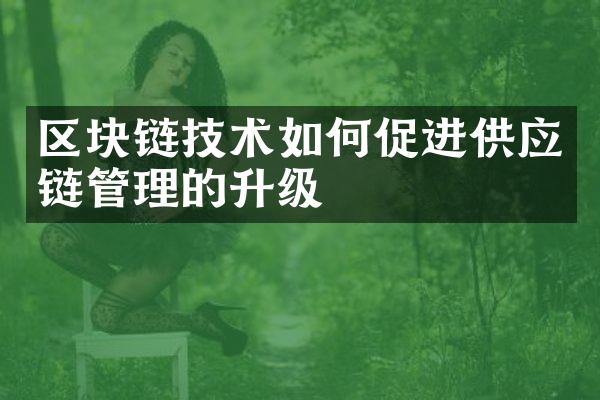 区块链技术如何促进供应链管理的升级