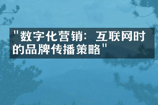 "数字化营销：互联网时代的品牌传播策略"