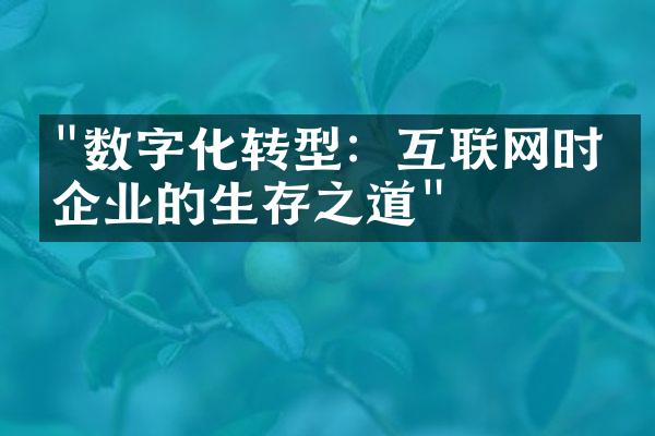 "数字化转型：互联网时代企业的生存之道"