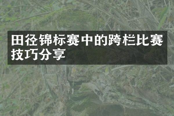 田径锦标赛中的跨栏比赛技巧分享