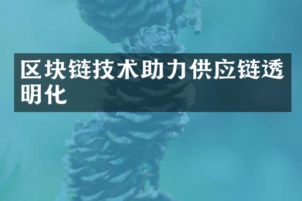 区块链技术助力供应链透明化