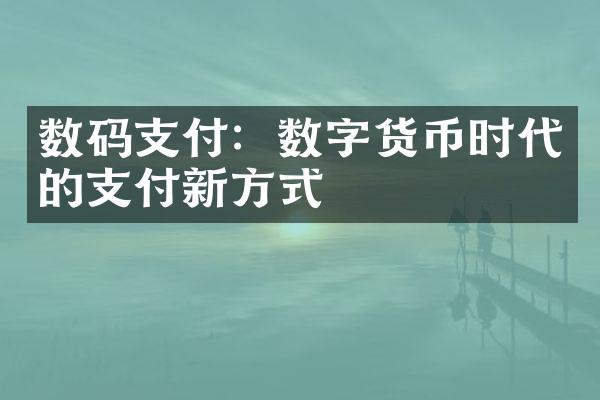 数码支付：数字货币时代的支付新方式