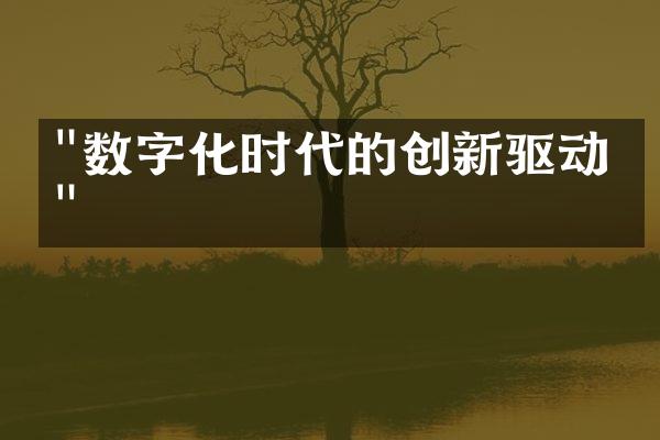 "数字化时代的创新驱动力"