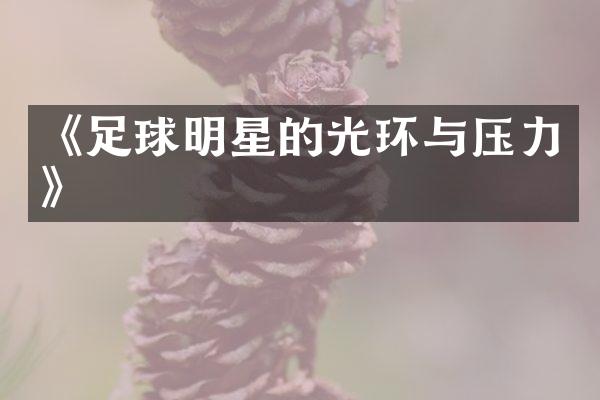 《足球明星的光环与压力》