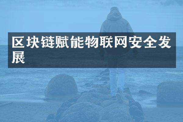 区块链赋能物联网安全发展