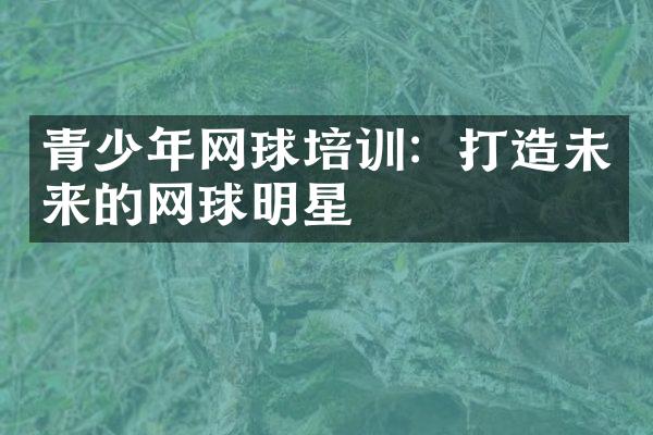 青少年网球培训：打造未来的网球明星