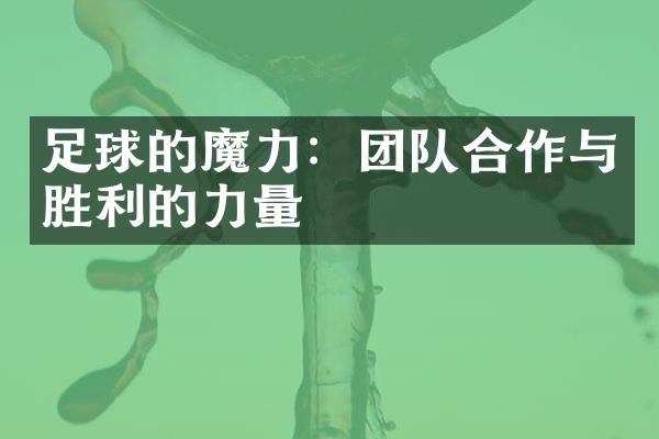 足球的魔力：团队合作与胜利的力量