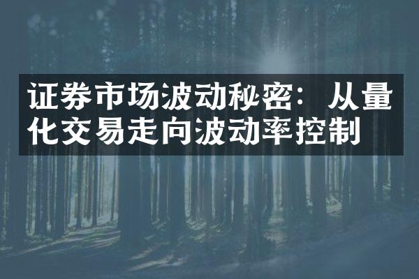 证券市场波动秘密：从量化交易走向波动率控制