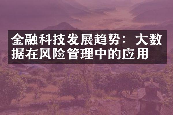 金融科技发展趋势：大数据在风险管理中的应用