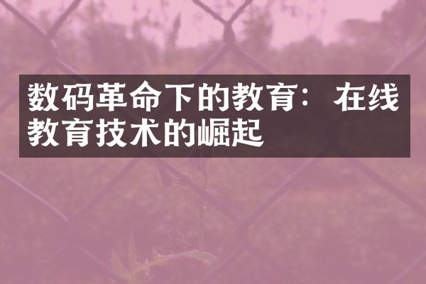 数码革命下的教育：在线教育技术的崛起