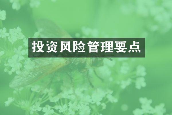 投资风险管理要点