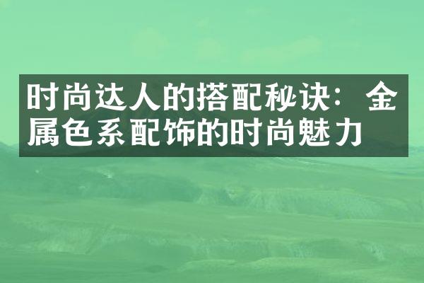 时尚达人的搭配秘诀：金属色系配饰的时尚魅力