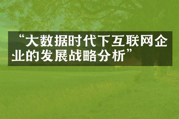 “大数据时代下互联网企业的发展战略分析”