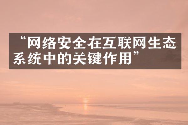 “网络安全在互联网生态系统中的关键作用”