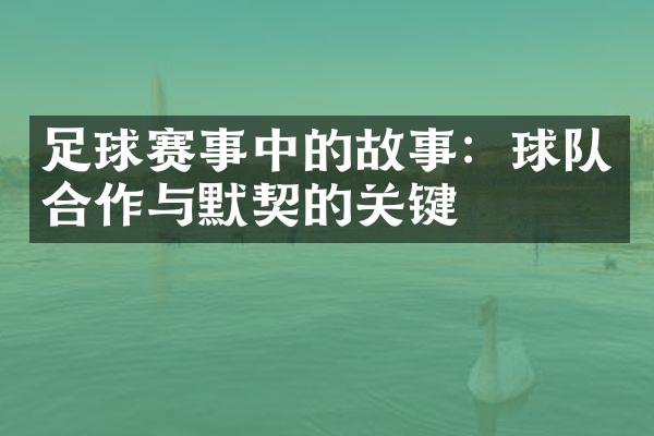 足球赛事中的故事：球队合作与默契的关键