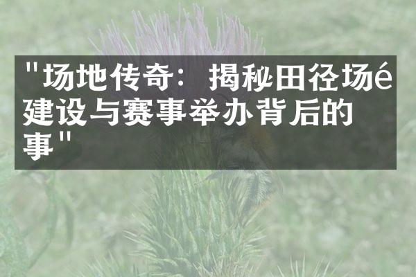 "场地传奇：揭秘田径场馆建设与赛事举办背后的故事"