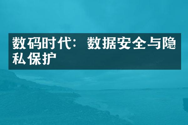 数码时代：数据安全与隐私保护