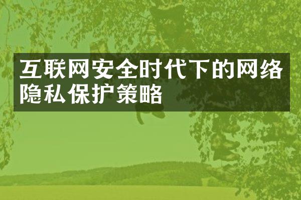 互联网安全时代下的网络隐私保护策略