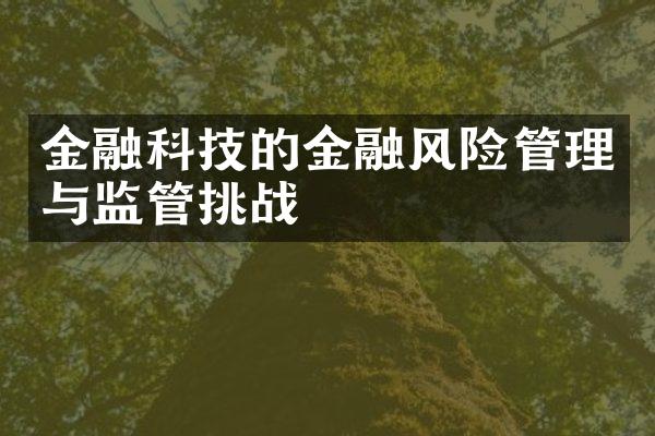 金融科技的金融风险管理与监管挑战