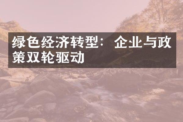 绿色经济转型：企业与政策双轮驱动