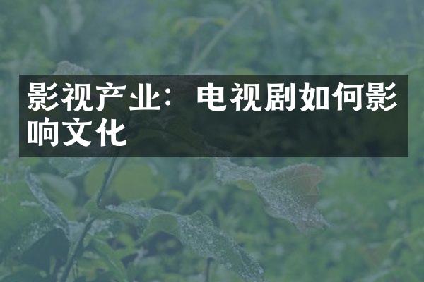 影视产业：电视剧如何影响文化