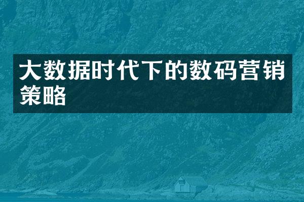 大数据时代下的数码营销策略