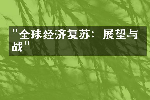 "全球经济复苏：展望与挑战"