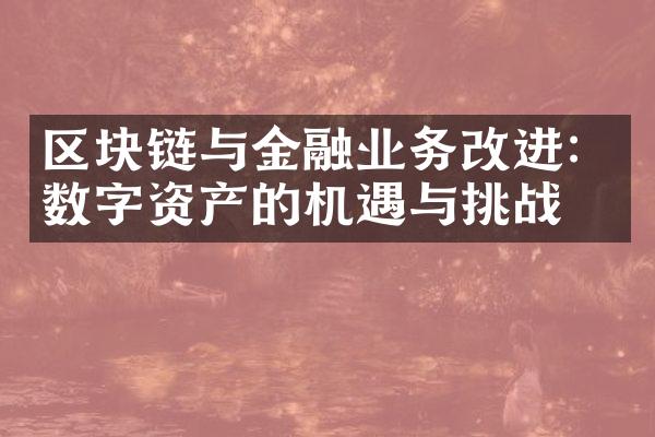 区块链与金融业务改进：数字资产的机遇与挑战