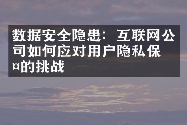 数据安全隐患：互联网公司如何应对用户隐私保护的挑战