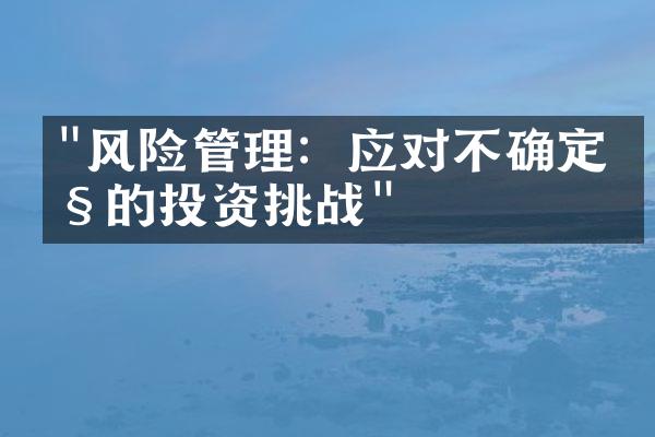 "风险管理：应对不确定性的投资挑战"