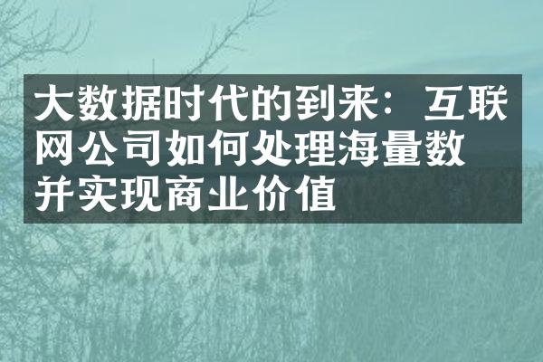 大数据时代的到来：互联网公司如何处理海量数据并实现商业价值