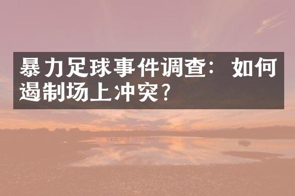 暴力足球事件调查：如何遏制场上冲突？