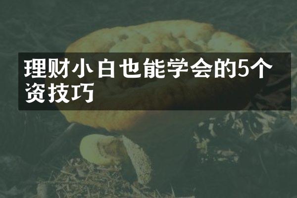 理财小白也能学会的5个投资技巧