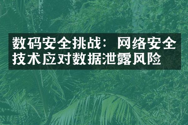 数码安全挑战：网络安全技术应对数据泄露风险