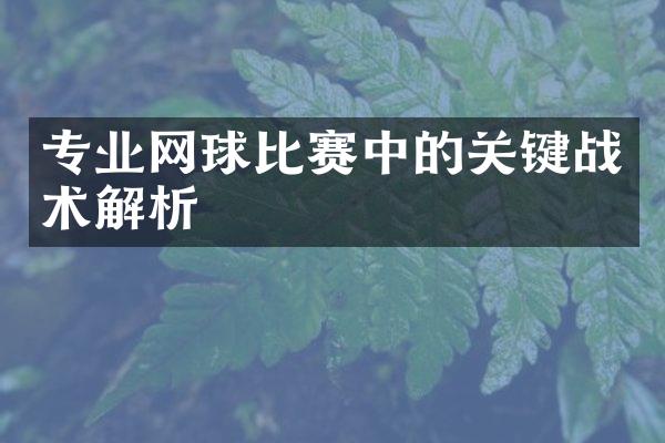 专业网球比赛中的关键战术解析