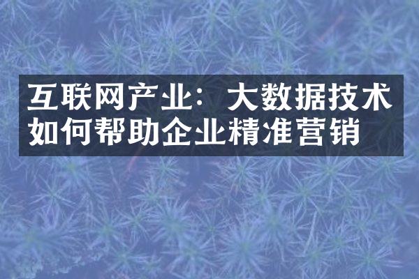 互联网产业：大数据技术如何帮助企业精准营销