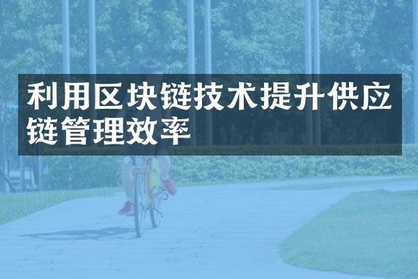 利用区块链技术提升供应链管理效率