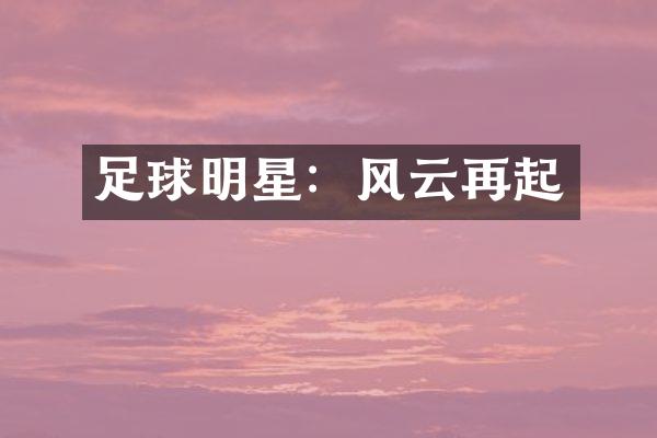 足球明星：风云再起