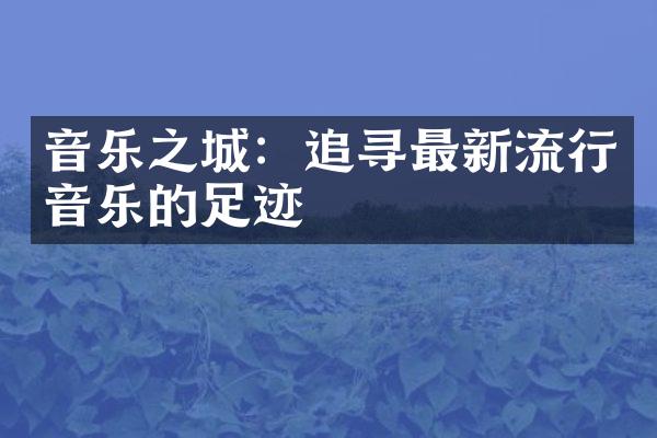 音乐之城：追寻最新流行音乐的足迹