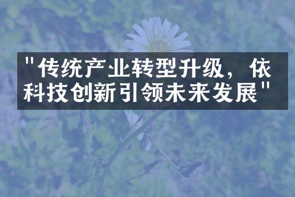 "传统产业转型升级，依托科技创新引领未来发展"