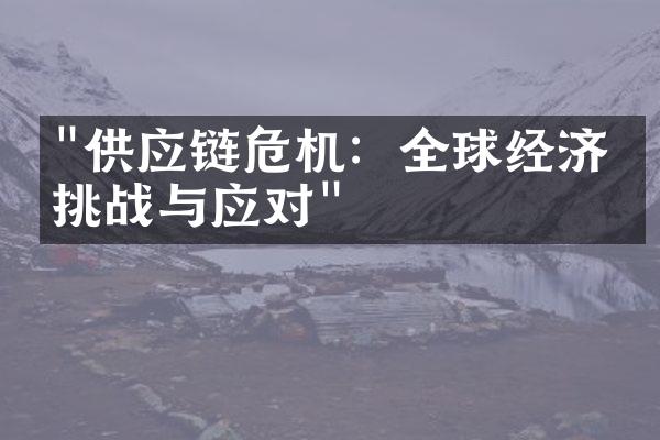 "供应链危机：全球经济的挑战与应对"