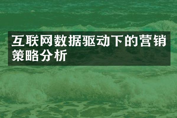 互联网数据驱动下的营销策略分析