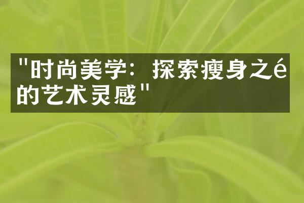 "时尚美学：探索瘦身之道的艺术灵感"