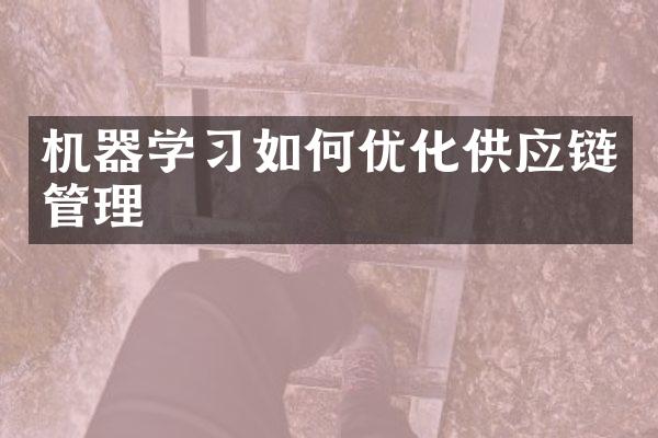 机器学习如何优化供应链管理