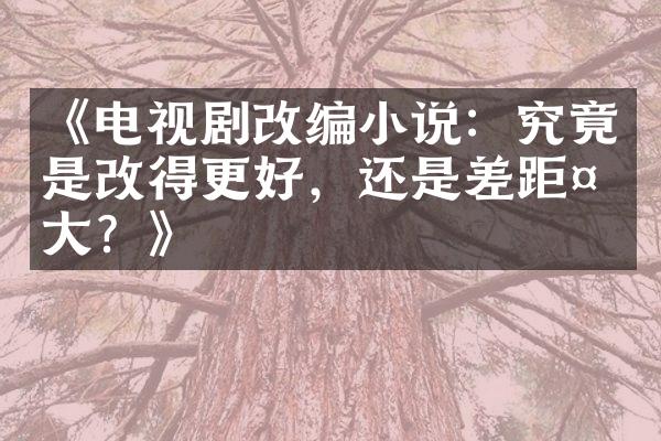 《电视剧改编小说：究竟是改得更好，还是差距太大？》